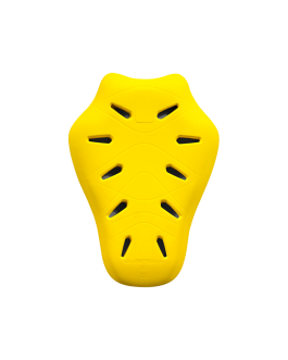 Back Protector (Level 2)